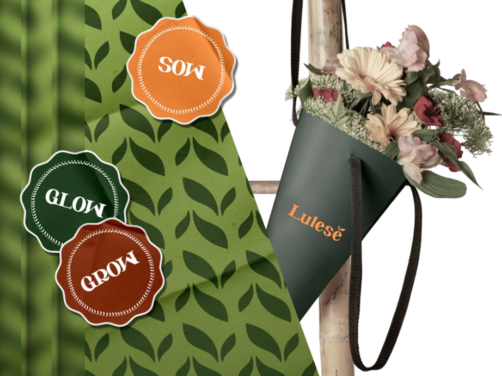 Branding design by Emanuela Pasho